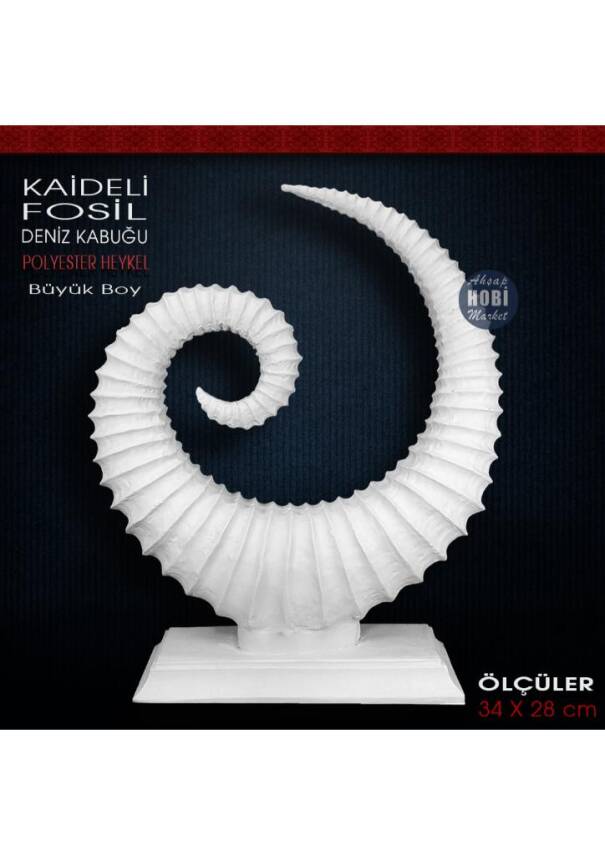 Kaideli Fosil Deniz Kabuğu Heykeli (34x28 cm) Ham Polyester - 1