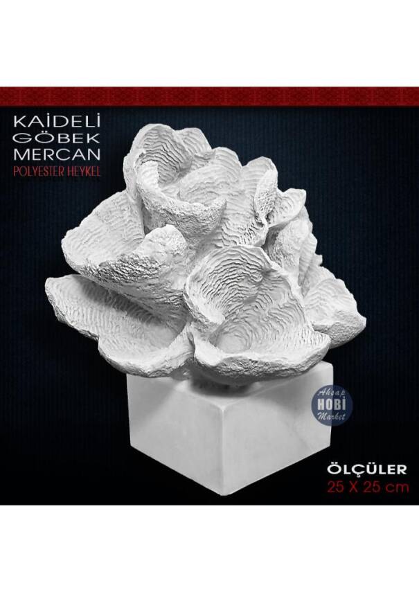 Kaideli Göbek Mercan Heykeli (25x25 cm) Ham Polyester - 2