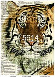 Kaplan Desenli Pirinç Dekopaj Model : 5614 - Line Art