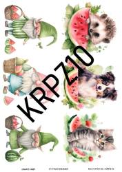 Karpuz Desenli Pirinç Dekopaj Model : KRPZ10 - Line Art