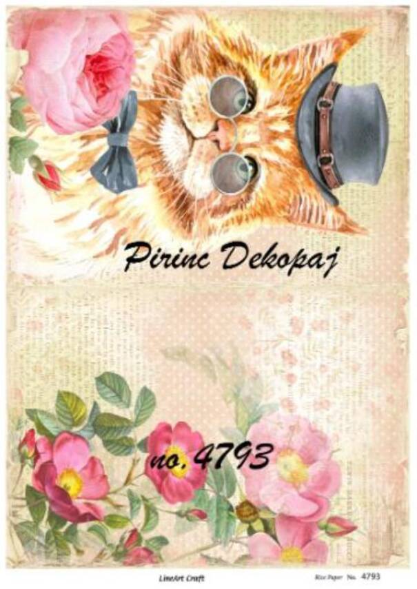 Kedi Desenli Pirinç Dekopaj Model : 4793 - 1