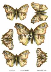 Kelebek Desenli Pirinç Dekopaj Model : 5363 - Line Art