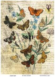 Kelebek Desenli Pirinç Dekopaj Model : 5821 - Line Art