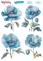 Koyu Zeminler İçin Sulu Taransfer Model-KZ001 - MyHobby