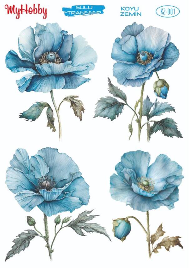 Koyu Zeminler İçin Sulu Taransfer Model-KZ001 - 1