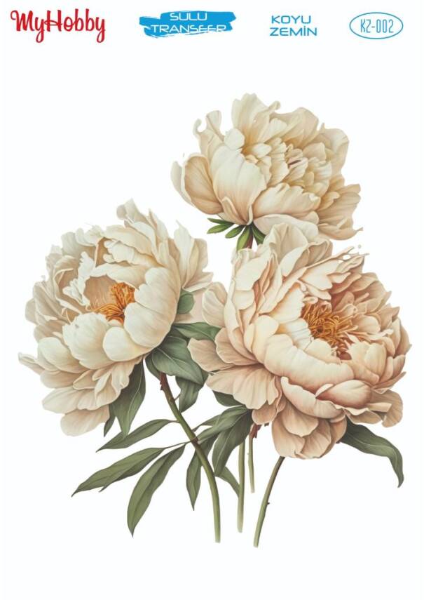 Koyu Zeminler İçin Sulu Taransfer Model-KZ002 - 1