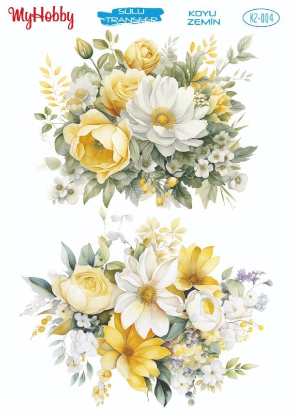 Koyu Zeminler İçin Sulu Taransfer Model-KZ004 - 1