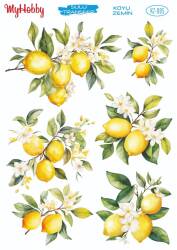 Koyu Zeminler İçin Sulu Taransfer Model-KZ005 - MyHobby