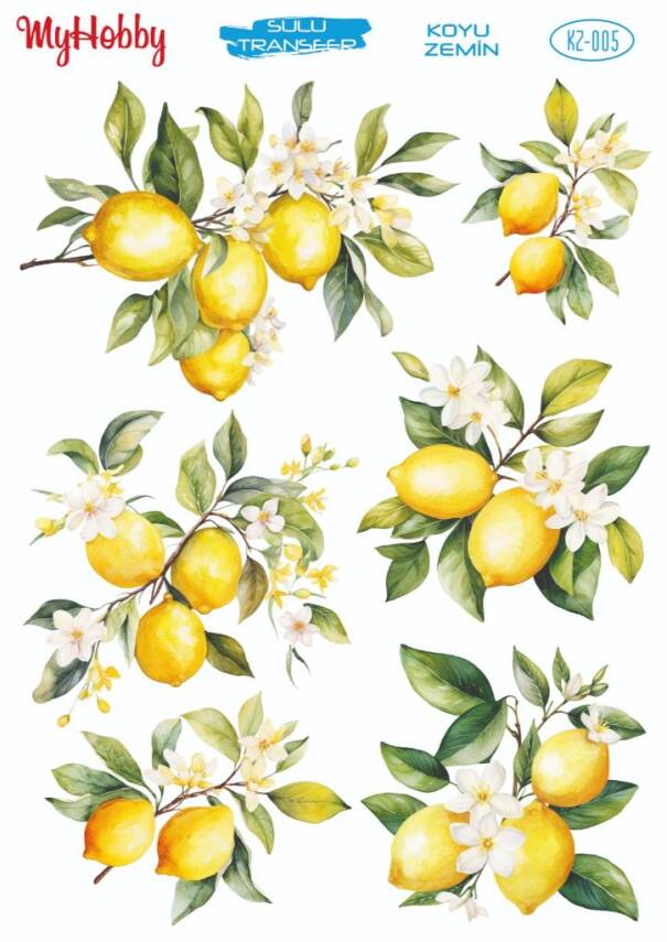 Koyu Zeminler İçin Sulu Taransfer Model-KZ005 - 1