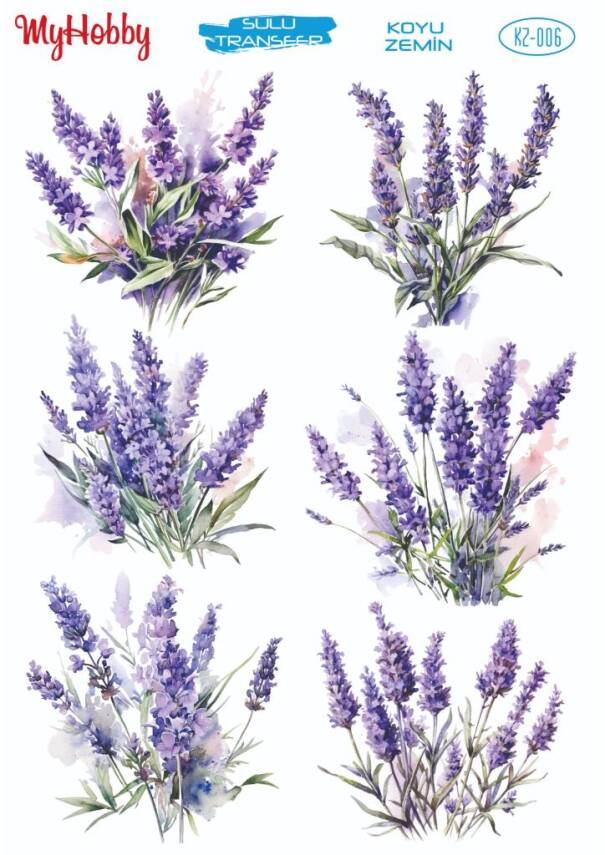 Koyu Zeminler İçin Sulu Taransfer Model-KZ006 - 1