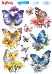 Koyu Zeminler İçin Sulu Taransfer Model-KZ007 - MyHobby