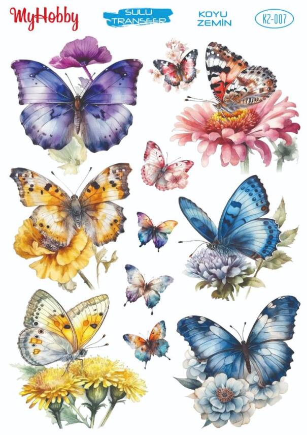 Koyu Zeminler İçin Sulu Taransfer Model-KZ007 - 1