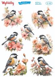 Koyu Zeminler İçin Sulu Taransfer Model-KZ008 - MyHobby