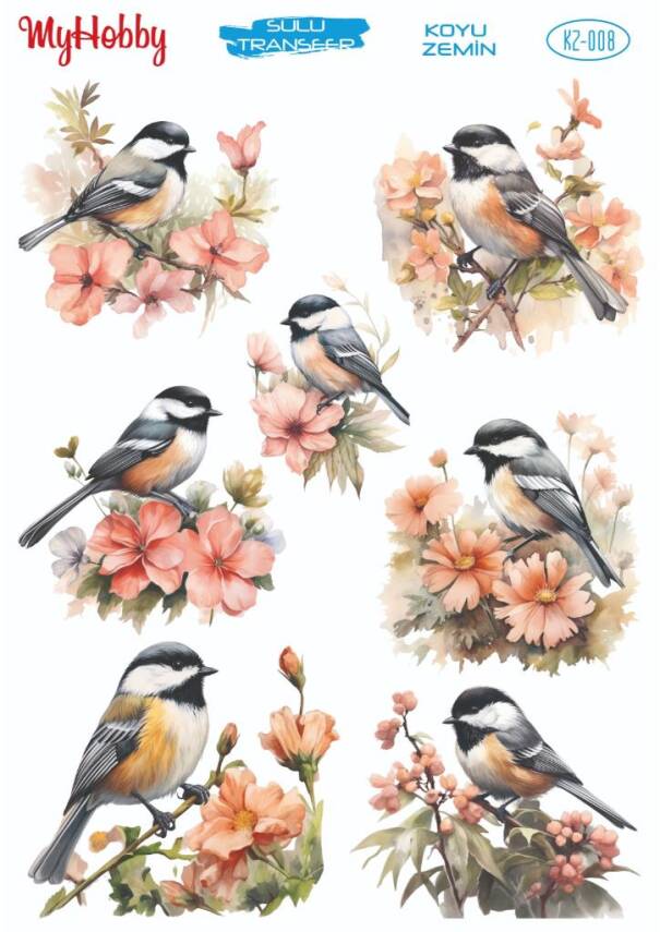 Koyu Zeminler İçin Sulu Taransfer Model-KZ008 - 1