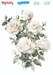 Koyu Zeminler İçin Sulu Taransfer Model-KZ009 - MyHobby