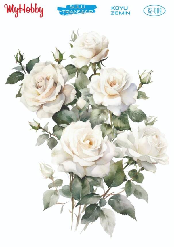 Koyu Zeminler İçin Sulu Taransfer Model-KZ009 - 1