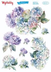 Koyu Zeminler İçin Sulu Taransfer Model-KZ011 - MyHobby