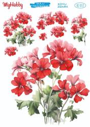 Koyu Zeminler İçin Sulu Taransfer Model-KZ012 - MyHobby