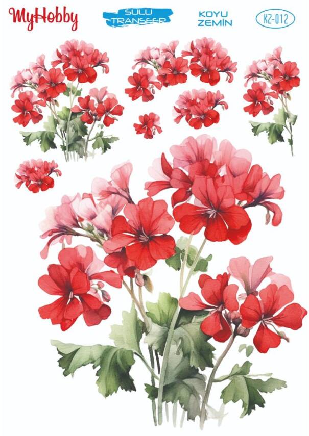 Koyu Zeminler İçin Sulu Taransfer Model-KZ012 - 1