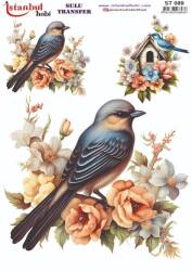 Kuş Desenli Sulu Transfer Kağıdı STI-089 - Tual Hobi Craft Ist