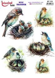 Kuş Desenli Sulu Transfer Kağıdı STI-133 - Tual Hobi Craft Ist