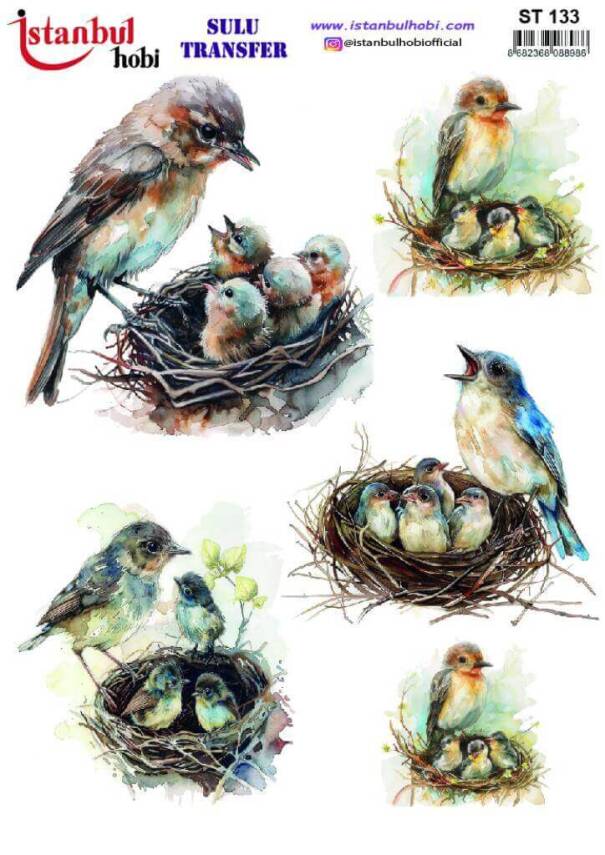 Kuş Desenli Sulu Transfer Kağıdı STI-133 - 1