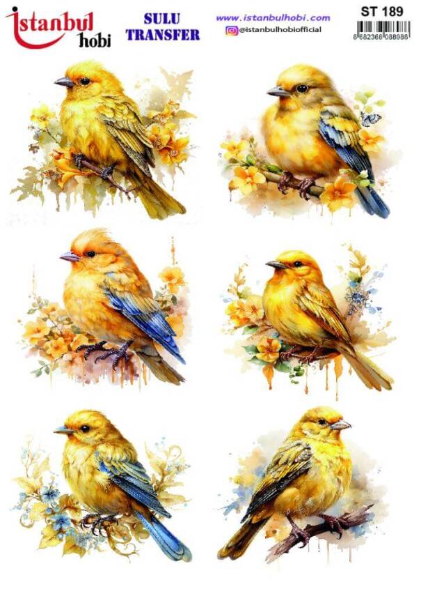 Kuş Desenli Sulu Transfer Kağıdı STI-189 - 1