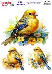 Kuş Desenli Sulu Transfer Kağıdı STI-190 - Tual Hobi Craft Ist