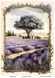 Lavanta Desenli Pirinç Dekopaj Model : LVNT30 - Line Art