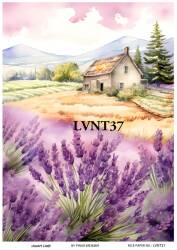 Lavanta Desenli Pirinç Dekopaj Model : LVNT37 - Line Art