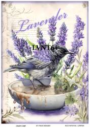 Lavanta Desenli Pirinç Dekopaj Model : LVNT64 - Line Art