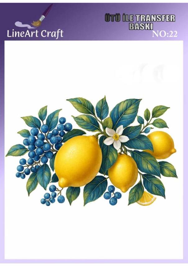 Limon Desenli Kumaş Transfer Kağıdı LNT-K022(20x20 cm) - 1