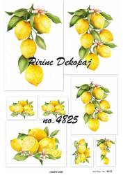 Limon Desenli Pirinç Dekopaj Model : 4825 - Line Art