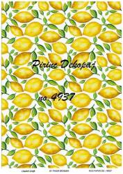 Limon Desenli Pirinç Dekopaj Model : 4937 - Line Art