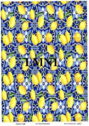 Limon Desenli Pirinç Dekopaj Model : LMN001 - Line Art