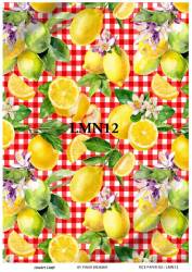 Limon Desenli Pirinç Dekopaj Model : LMN012 - Line Art