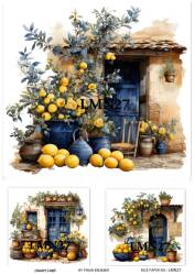 Limon Desenli Pirinç Dekopaj Model : LMN027 - Line Art