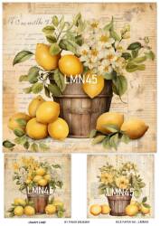 Limon Desenli Pirinç Dekopaj Model : LMN045 - Line Art