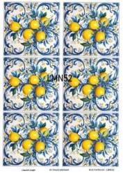 Limon Desenli Pirinç Dekopaj Model : LMN052 - Line Art