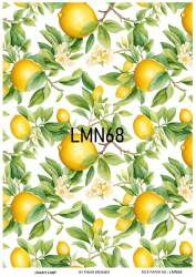 Limon Desenli Pirinç Dekopaj Model : LMN068 - Line Art