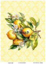 Limon Desenli Pirinç Dekopaj Model : LMN069 - Line Art