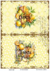 Limon Desenli Pirinç Dekopaj Model : LMN076 - Line Art