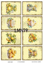 Limon Desenli Pirinç Dekopaj Model : LMN079 - Line Art