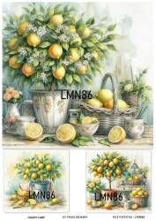 Limon Desenli Pirinç Dekopaj Model : LMN086 - Line Art