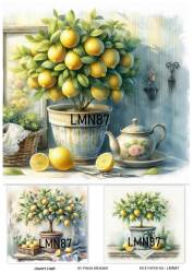 Limon Desenli Pirinç Dekopaj Model : LMN087 - Line Art
