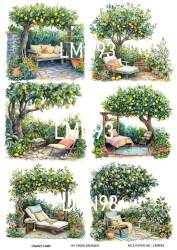 Limon Desenli Pirinç Dekopaj Model : LMN093 - Line Art