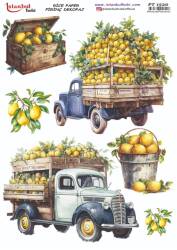 Limon Desenli Pirinç Dekopaj Model : PT 1520 - Tual Hobi Craft İst