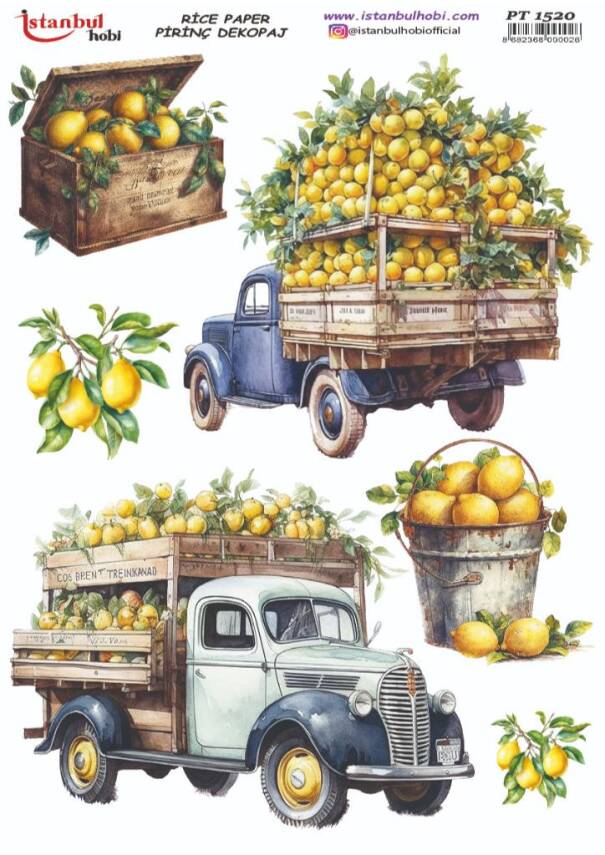 Limon Desenli Pirinç Dekopaj Model : PT 1520 - 1