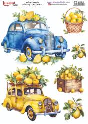 Limon Desenli Pirinç Dekopaj Model : PT 1525 - Tual Hobi Craft İst