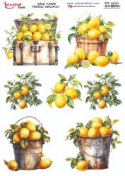 Limon Desenli Pirinç Dekopaj Model : PT 1527 - Tual Hobi Craft İst